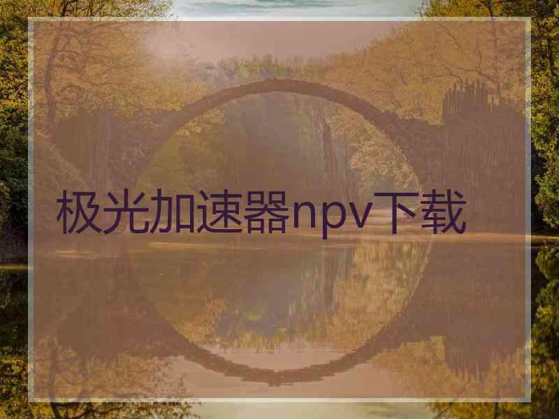 极光加速器npv下载