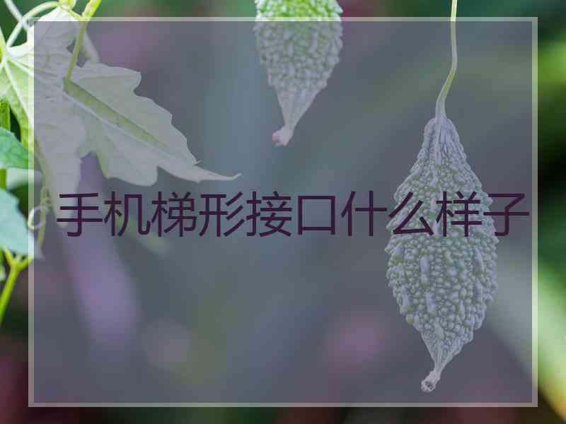 手机梯形接口什么样子