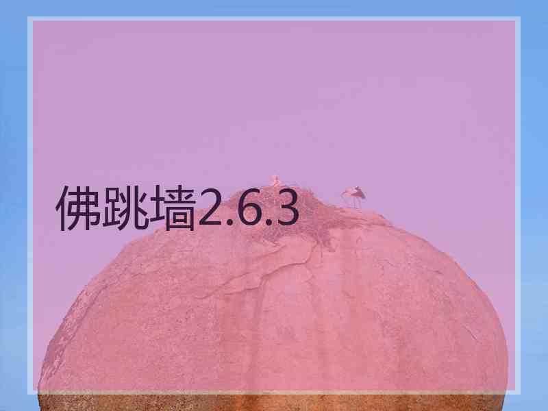 佛跳墙2.6.3