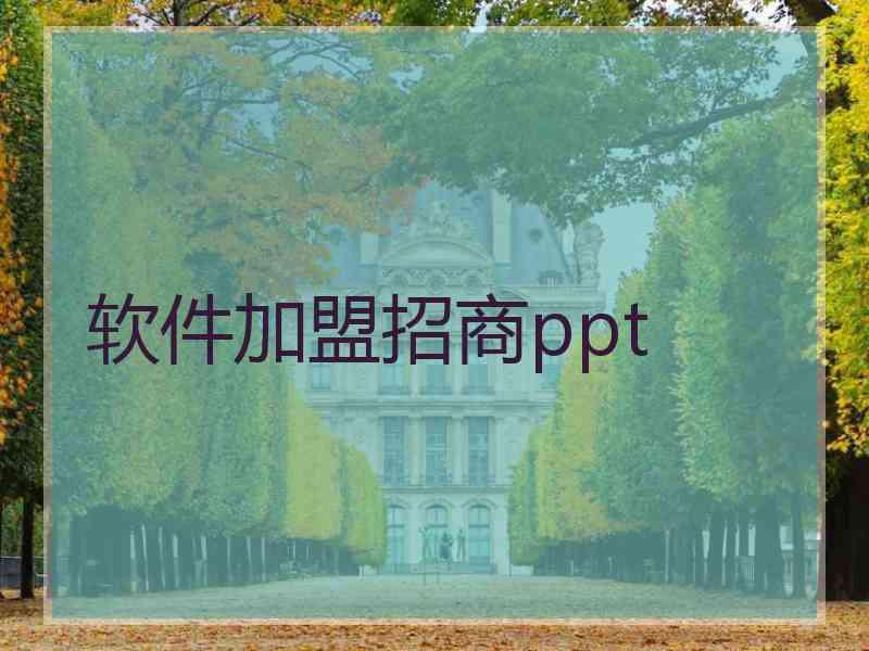 软件加盟招商ppt