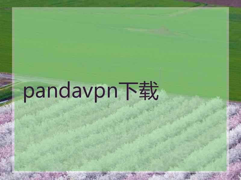 pandavpn下载