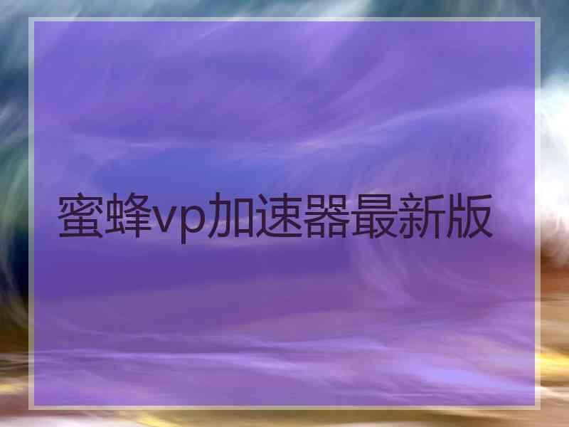 蜜蜂vp加速器最新版