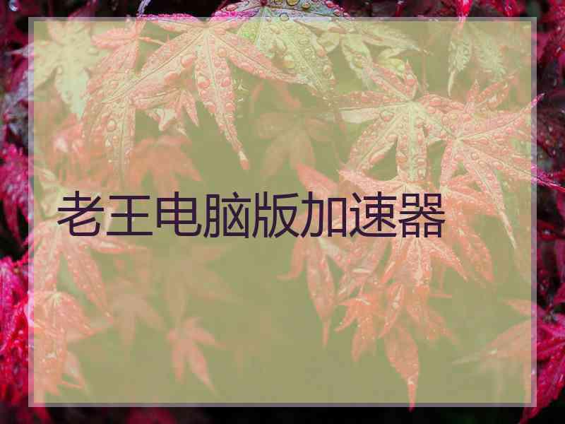 老王电脑版加速器