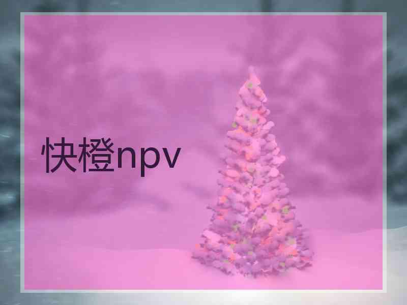 快橙npv