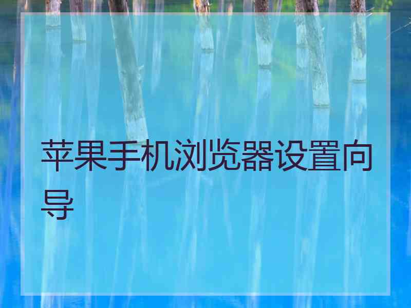 苹果手机浏览器设置向导