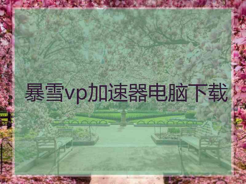 暴雪vp加速器电脑下载