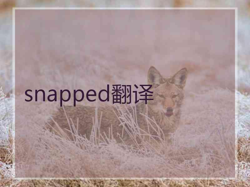 snapped翻译