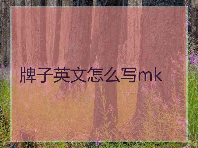 牌子英文怎么写mk