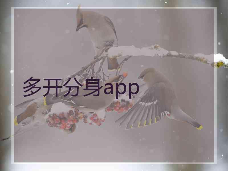 多开分身app