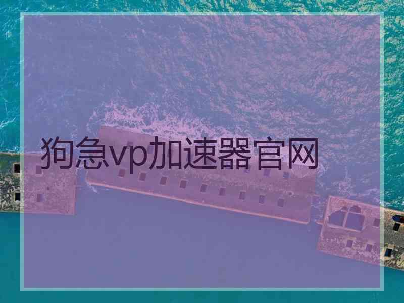 狗急vp加速器官网