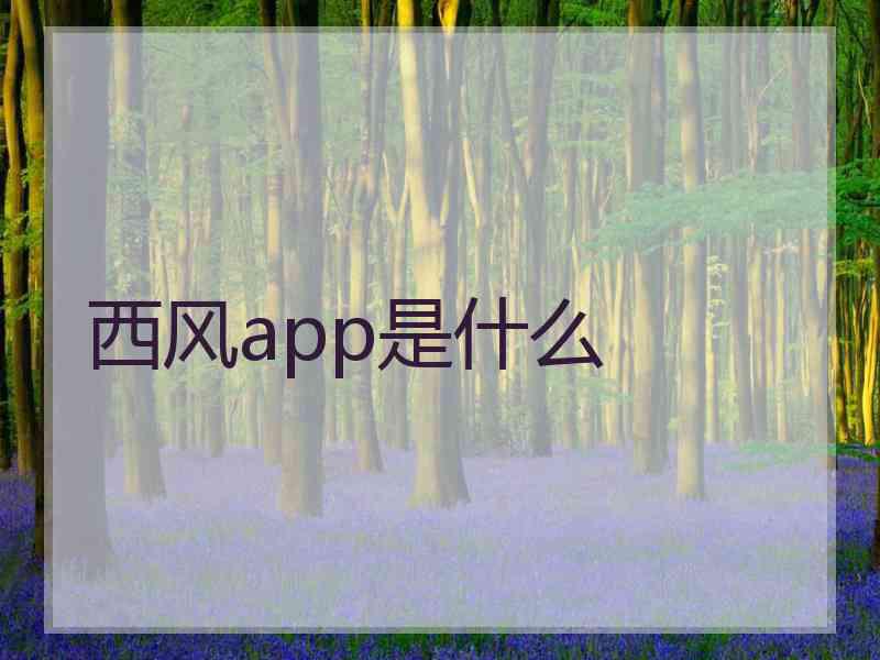 西风app是什么