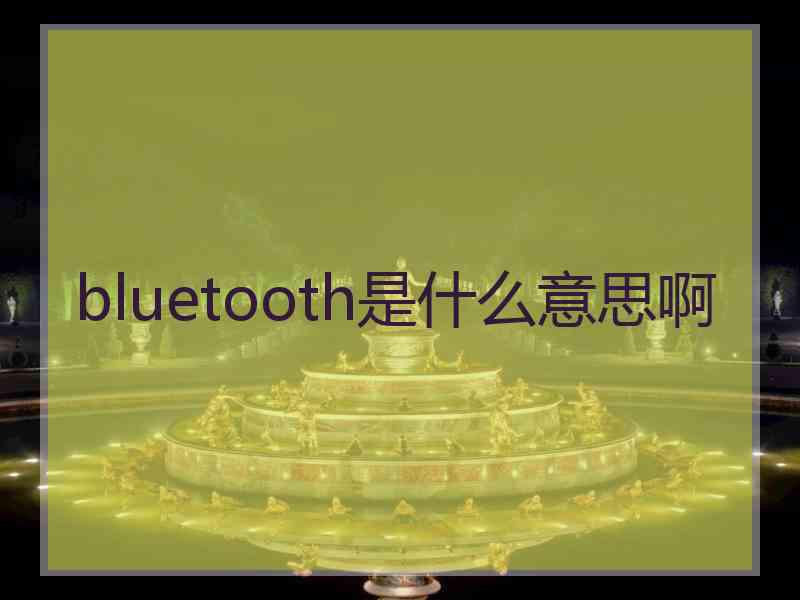 bluetooth是什么意思啊