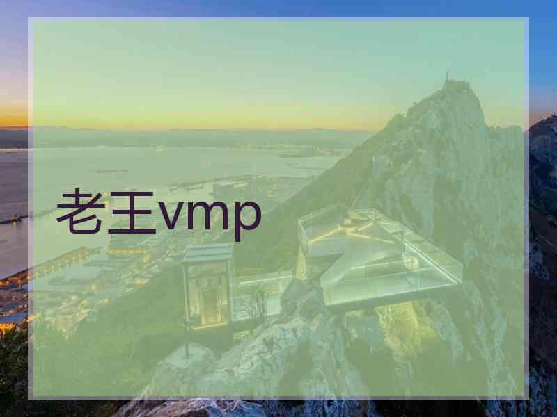 老王vmp