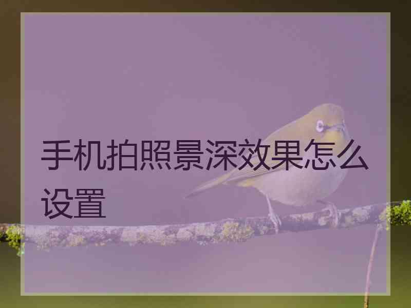 手机拍照景深效果怎么设置