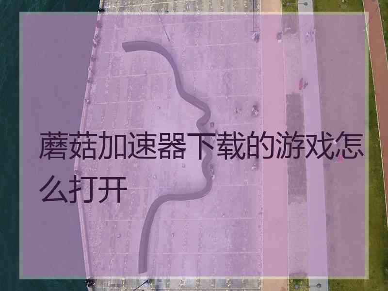 蘑菇加速器下载的游戏怎么打开