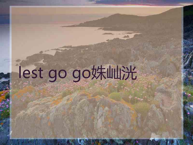 lest go go姝屾洸