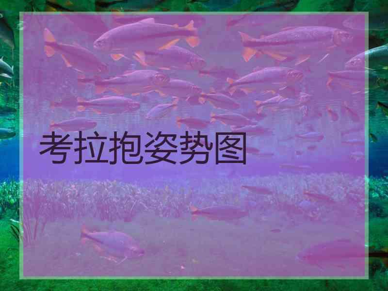 考拉抱姿势图