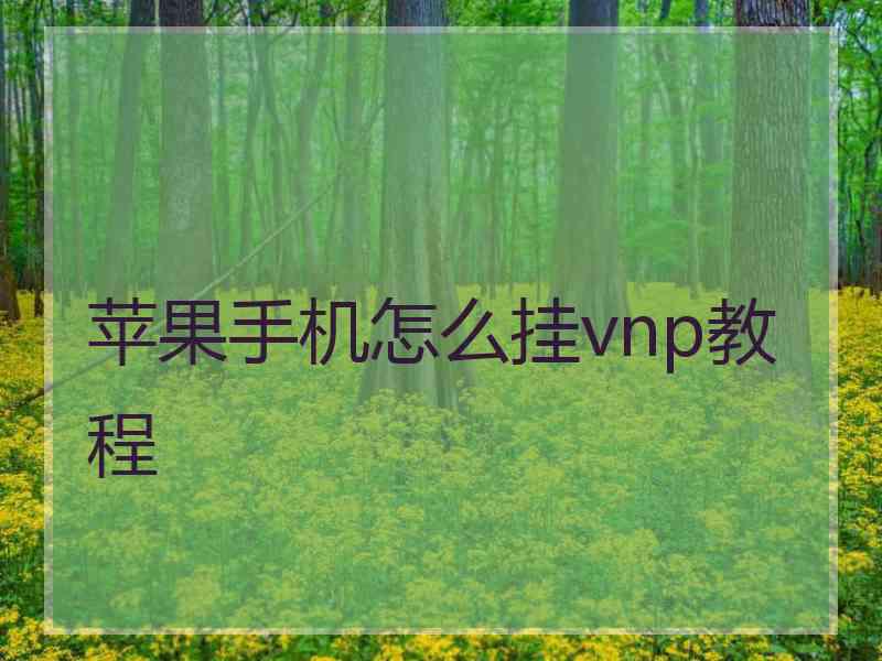 苹果手机怎么挂vnp教程