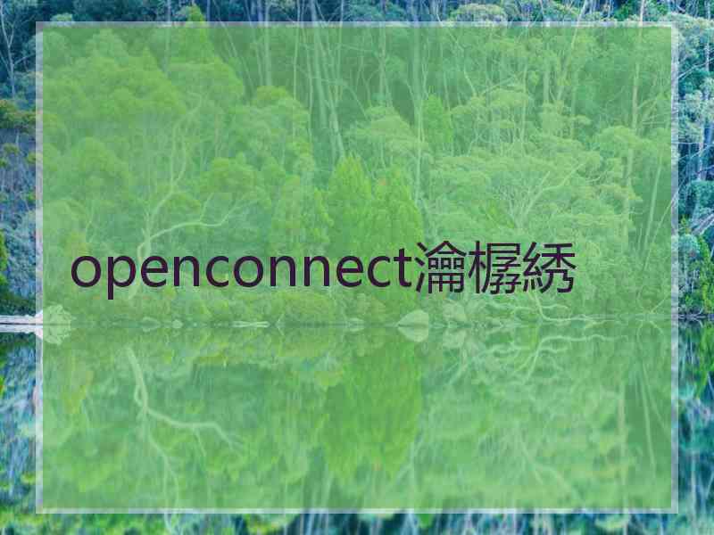 openconnect瀹樼綉