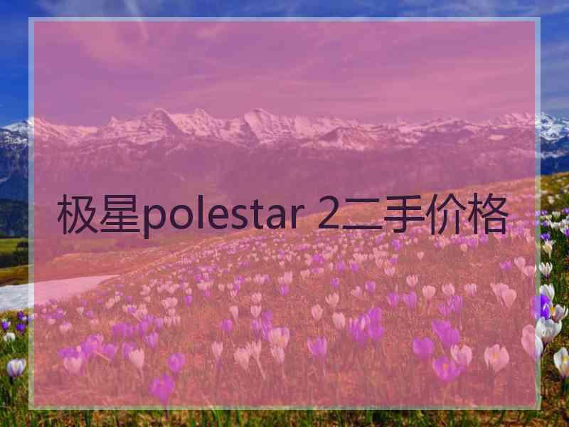 极星polestar 2二手价格