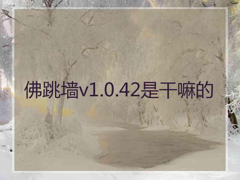 佛跳墙v1.0.42是干嘛的