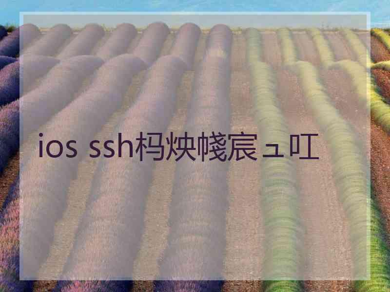 ios ssh杩炴帴宸ュ叿