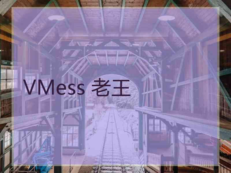 VMess 老王