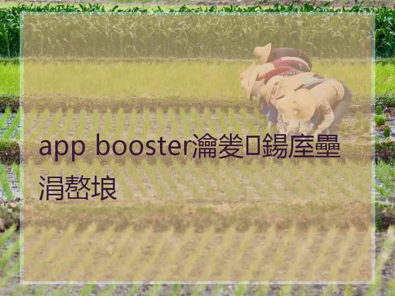 app booster瀹夎鍚庢壘涓嶅埌