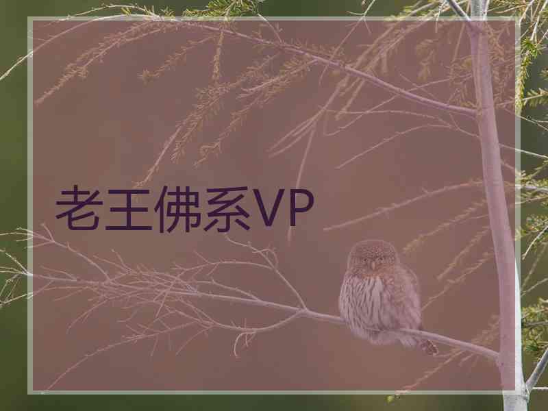 老王佛系VP