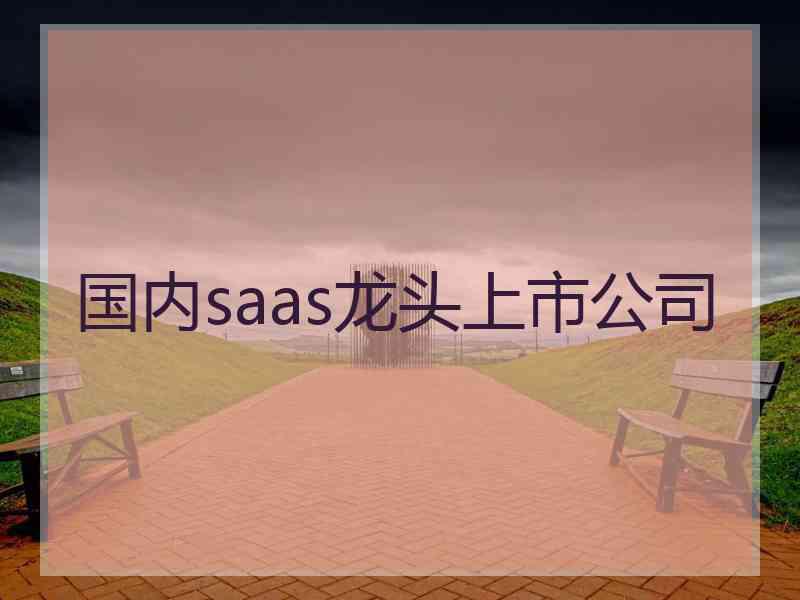 国内saas龙头上市公司