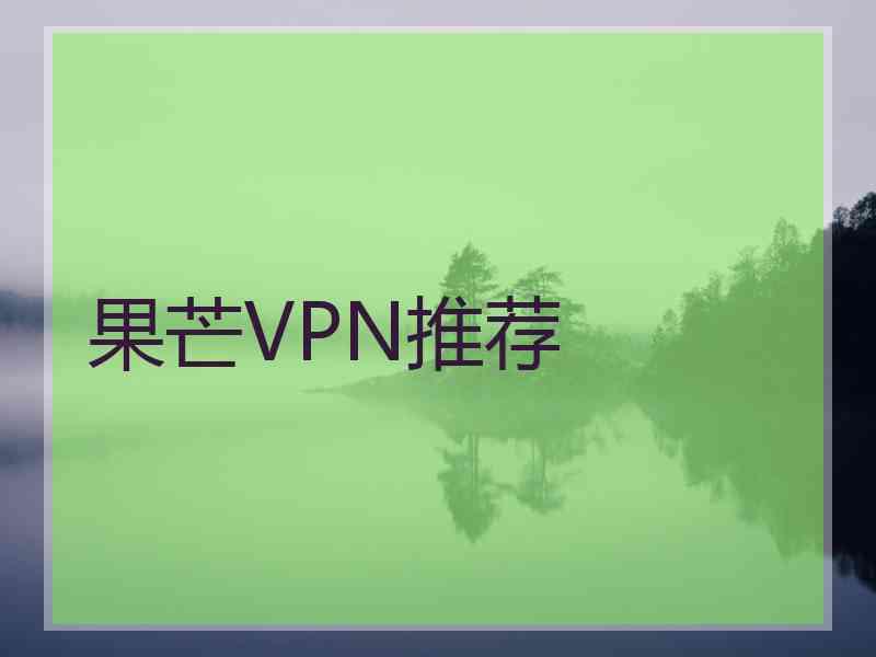 果芒VPN推荐