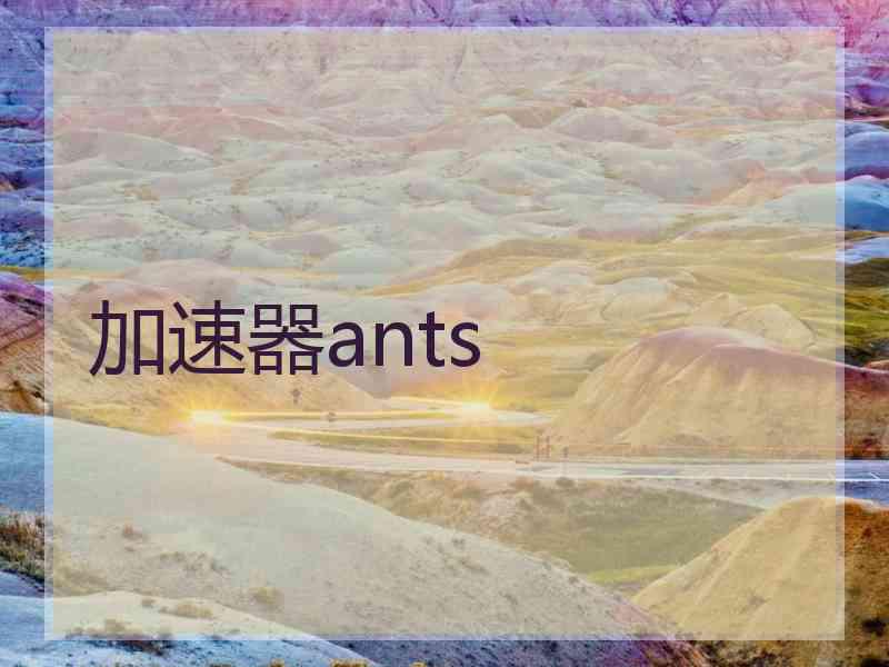 加速器ants