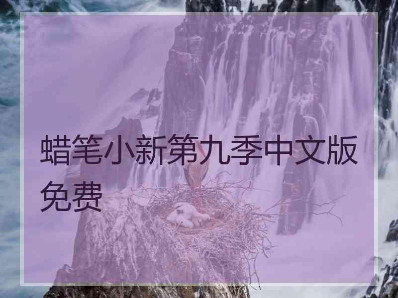 蜡笔小新第九季中文版免费