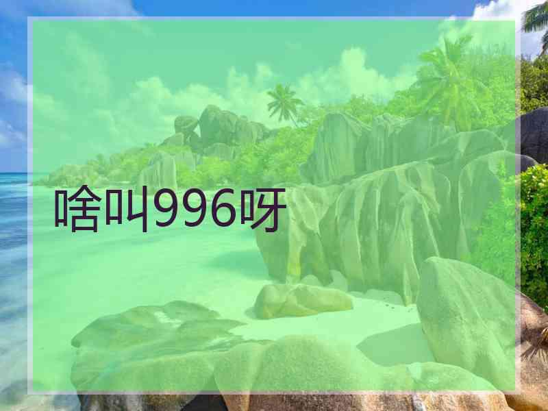 啥叫996呀