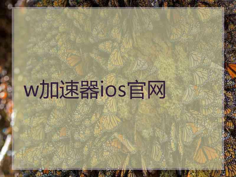 w加速器ios官网