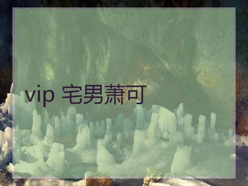 vip 宅男萧可