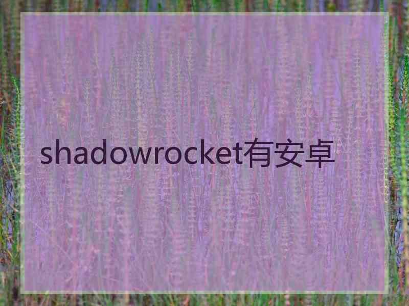 shadowrocket有安卓