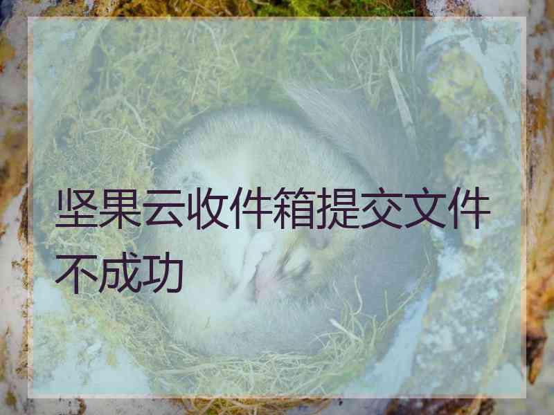 坚果云收件箱提交文件不成功