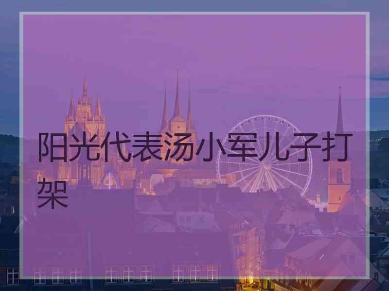 阳光代表汤小军儿子打架