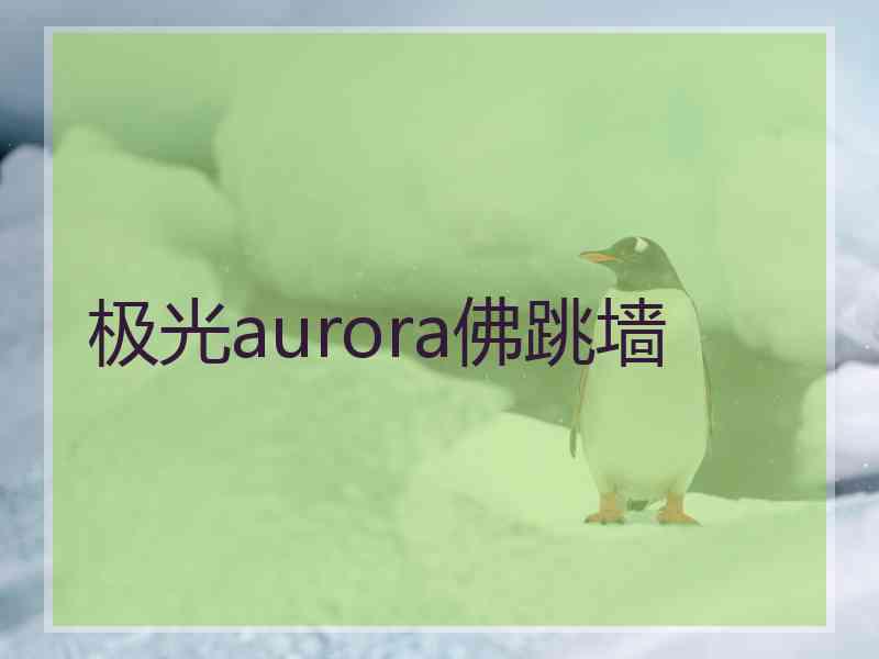 极光aurora佛跳墙