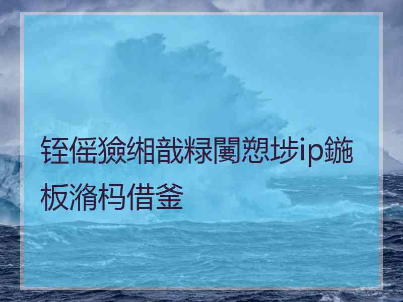 铚傜獫缃戠粶闄愬埗ip鍦板潃杩借釜