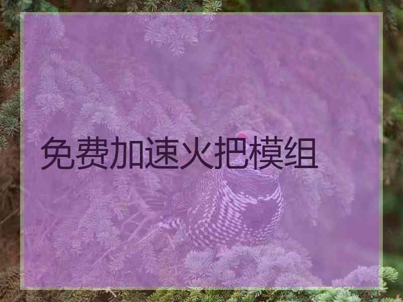 免费加速火把模组