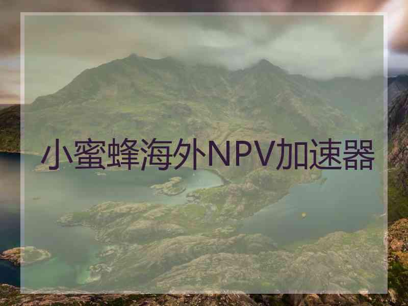 小蜜蜂海外NPV加速器