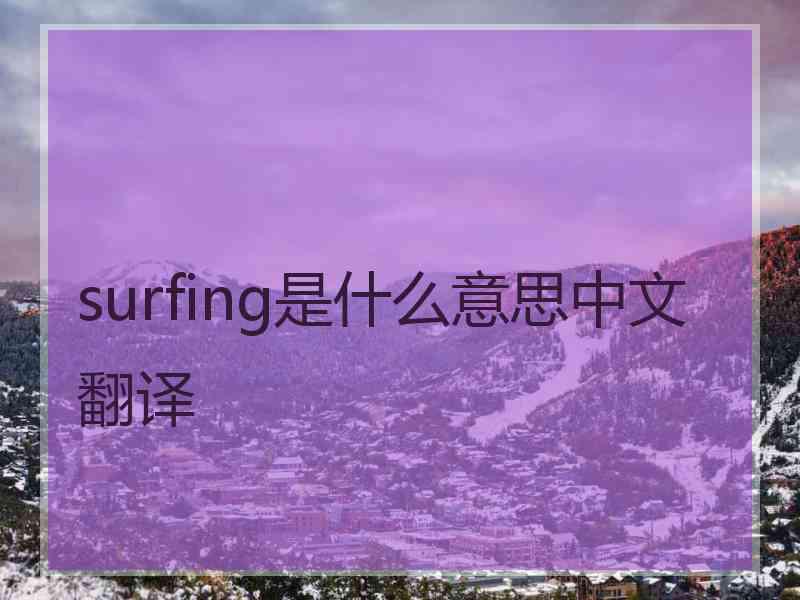 surfing是什么意思中文翻译