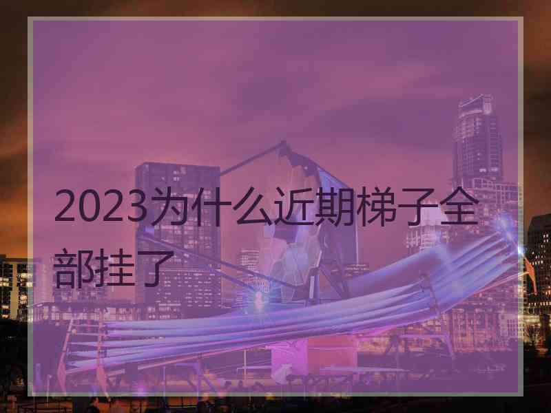 2023为什么近期梯子全部挂了