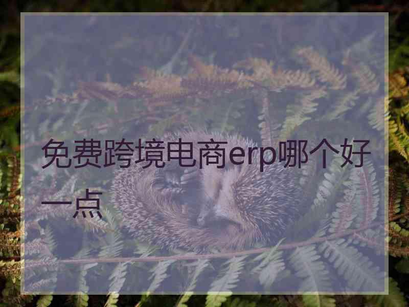 免费跨境电商erp哪个好一点