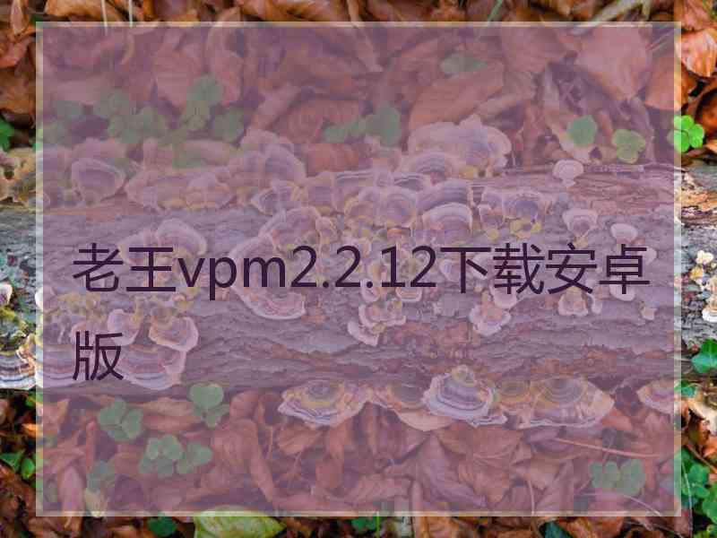 老王vpm2.2.12下载安卓版