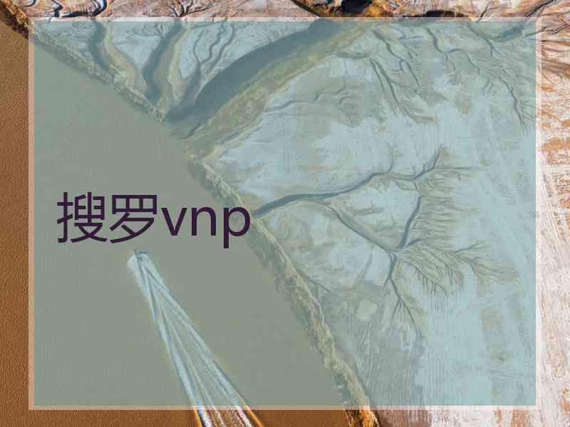 搜罗vnp