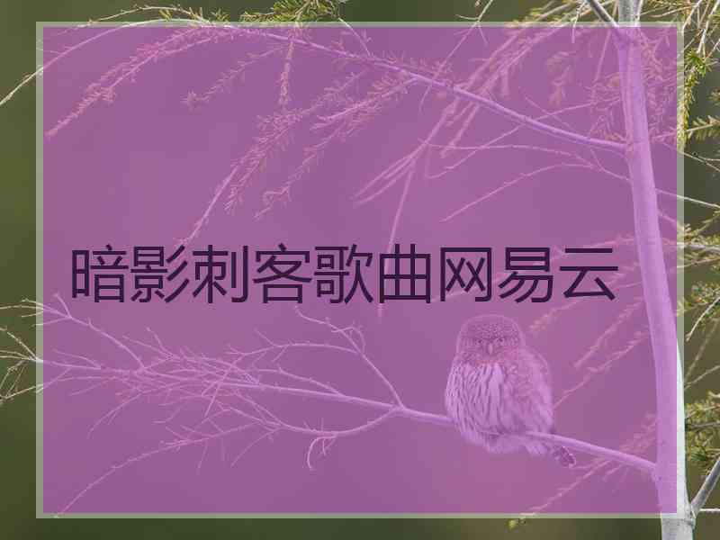 暗影刺客歌曲网易云