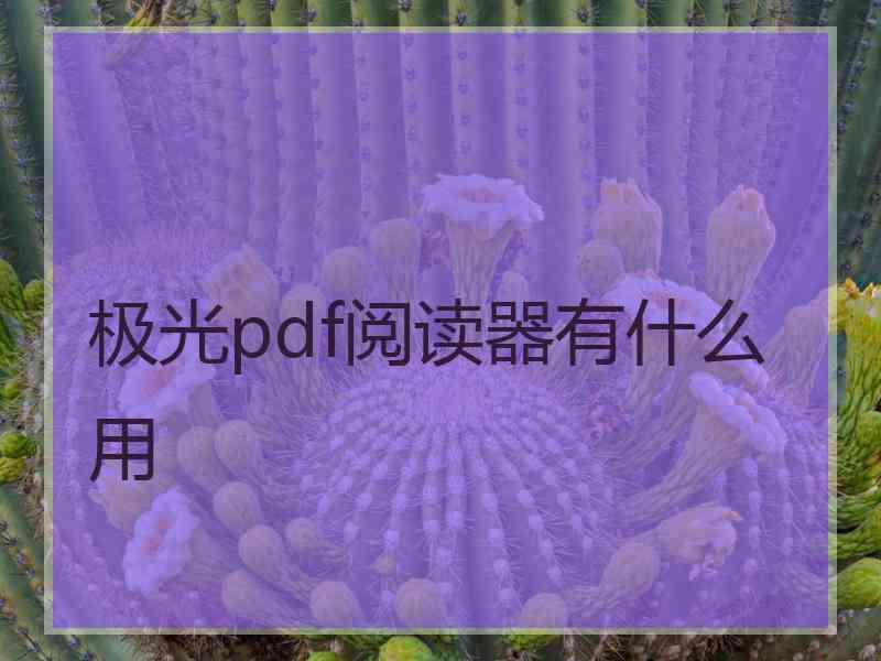 极光pdf阅读器有什么用